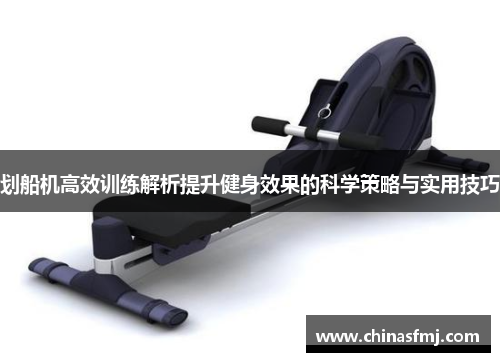 划船机高效训练解析提升健身效果的科学策略与实用技巧