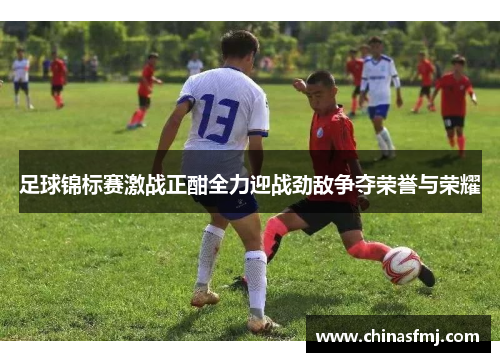 足球锦标赛激战正酣全力迎战劲敌争夺荣誉与荣耀