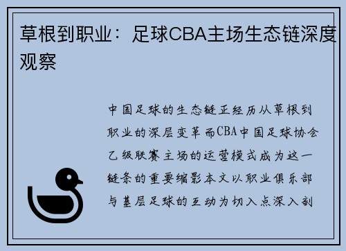 草根到职业：足球CBA主场生态链深度观察
