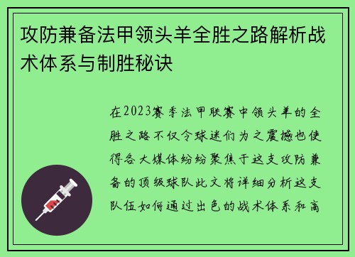 攻防兼备法甲领头羊全胜之路解析战术体系与制胜秘诀