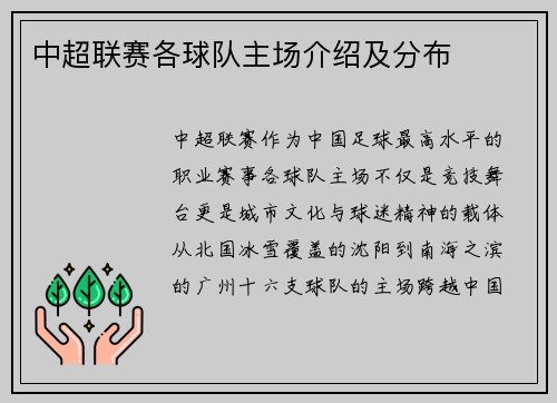 中超联赛各球队主场介绍及分布